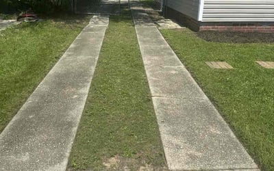 Photo of Betsy H.'s yard after getting lawn care in Yuba City, CA