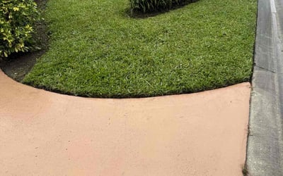 Photo of Lesley K.'s yard after getting lawn care in Sun City West, AZ