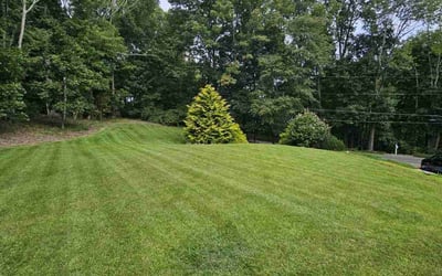 Photo of Michelle F.'s yard after getting lawn care in Leominster, MA