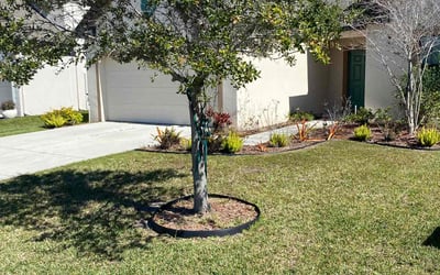 Photo of Alexis B.'s yard after getting lawn care in Hampton Bays, NY