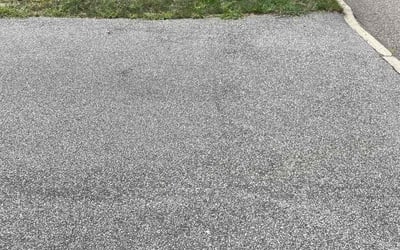 Photo of Patricia J.'s yard after getting lawn care in Brentwood, NY