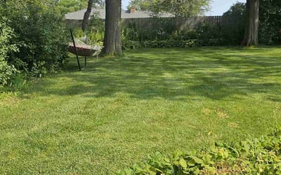 Photo of Rich O.'s yard after getting lawn care in Glendale, WI