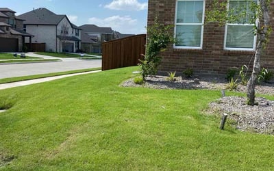Photo of Ardis W.'s yard after getting lawn care in Forney, TX