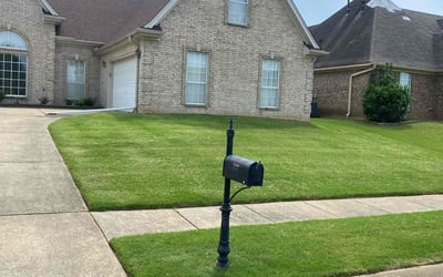 Photo of Yolswannty S.'s yard after getting lawn care in Byhalia, MS