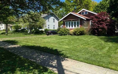 Photo of Cindy W.'s yard after getting lawn care in Elk River, MN