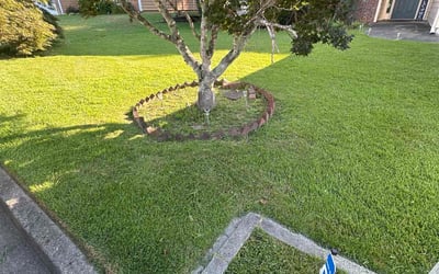 Photo of Nancy D.'s yard after getting lawn care in Bluefield, WV