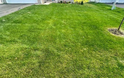Photo of Allissa L.'s yard after getting lawn care in Big Lake, MN