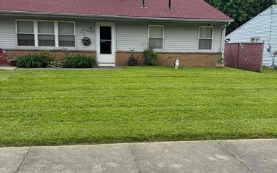 Photo of Rebecca W.'s yard after getting lawn care in Roseville, MI
