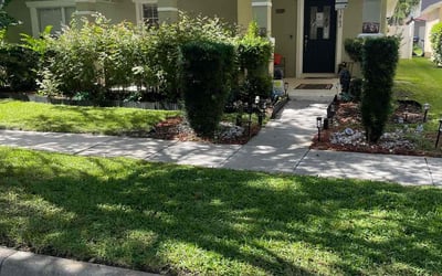 Photo of Jaclyn K.'s yard after getting lawn care in Georgetown, TX