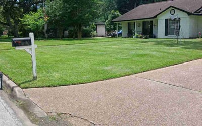 Photo of Kathy N.'s yard after getting lawn care in Minnetonka, MN