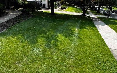 Photo of Robert R.'s yard after getting lawn care in Farmington, MN