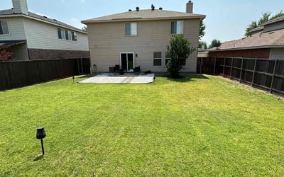 Photo of Karen T.'s yard after getting lawn care in Springfield Gardens, NY