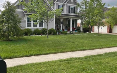Photo of Andrew A.'s yard after getting lawn care in Troy, MI