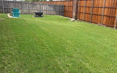 Photo of Wendy N.'s yard after getting lawn care in Westerly, RI