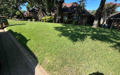 Photo of Melanie M.'s yard after getting lawn care in Suitland, MD