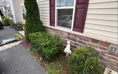 Photo of Sheryl G.'s yard after getting lawn care in Jackson, TN