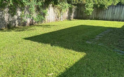 Photo of Michael V.'s yard after getting lawn care in Erlanger, KY