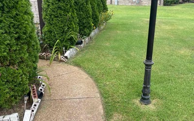 Photo of Julia M.'s yard after getting lawn care in Cordova, TN