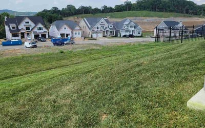 Photo of Shanti V.'s yard after getting lawn care in Millington, TN