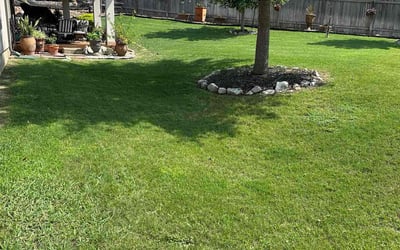 Photo of Anakin M.'s yard after getting lawn care in Comfort, TX