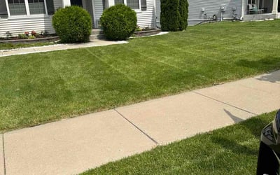 Photo of Cody W.'s yard after getting lawn care in Goose Creek, SC