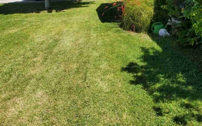 Photo of Terri T.'s yard after getting lawn care in Apache Junction, AZ