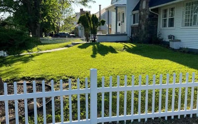 Photo of Jim A.'s yard after getting lawn care in Lansing, MI