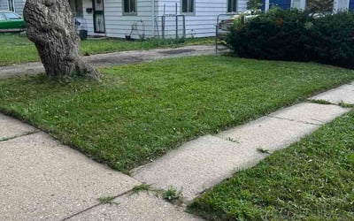Photo of Linda C.'s yard after getting lawn care in Newport, KY