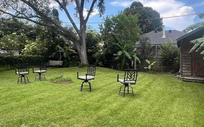 Photo of Angel D.'s yard after getting lawn care in Federal Way, WA