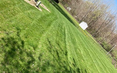 Photo of Neal D.'s yard after getting lawn care in Danbury, CT