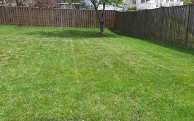 Photo of Marieta D.'s yard after getting lawn care in Berryville, VA