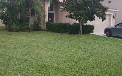 Photo of Emily D.'s yard after getting lawn care in Saint Paul, MN