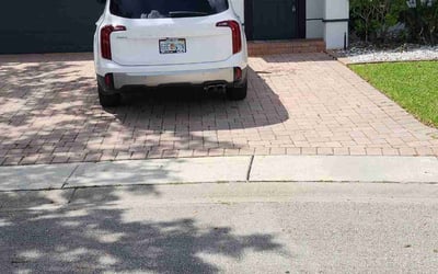 Photo of Allison W.'s yard after getting lawn care in Northridge, CA