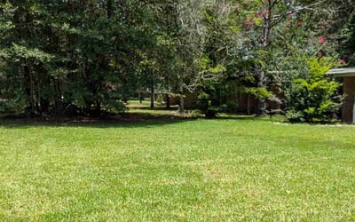 Photo of Jeremy W.'s yard after getting lawn care in Simpsonville, SC