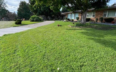 Photo of Justin D.'s yard after getting lawn care in Walled Lake, MI