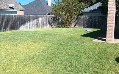 Photo of Andres R.'s yard after getting lawn care in Homestead, FL