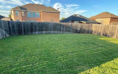 Photo of Jacqui B.'s yard after getting lawn care in Scituate, MA