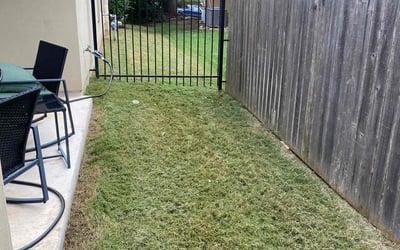 Photo of Derek B.'s yard after getting lawn care in Happy Valley, OR
