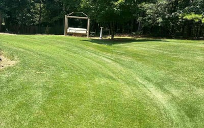 Photo of Tali H.'s yard after getting lawn care in Marietta, GA