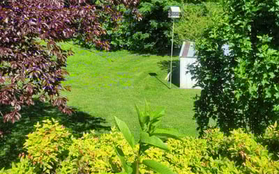 Photo of Natasha V.'s yard after getting lawn care in Clinton, TN