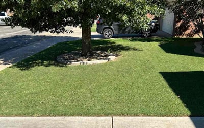 Photo of Dennis W.'s yard after getting lawn care in Allison Park, PA