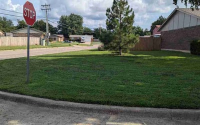 Photo of William B.'s yard after getting lawn care in Rockwood, TN