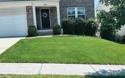 Photo of Brad H.'s yard after getting lawn care in Appleton, WI