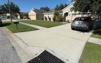 Photo of Nikkita R.'s yard after getting lawn care in Vidor, TX