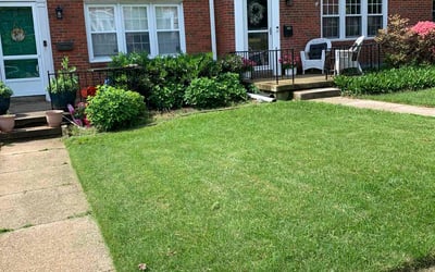 Photo of Michael S.'s yard after getting lawn care in Orange Park, FL