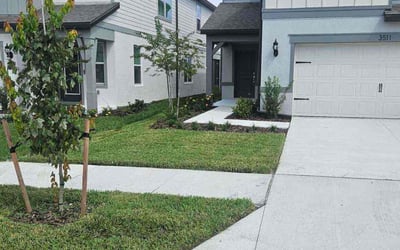 Photo of Nyemah C.'s yard after getting lawn care in New Brunswick, NJ