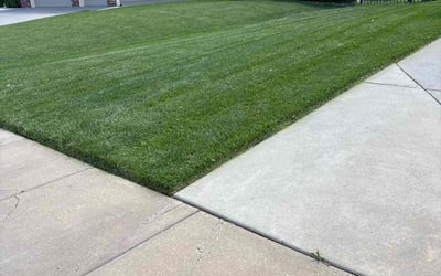 Photo of Naganjaneyulu C.'s yard after getting lawn care in American Fork, UT