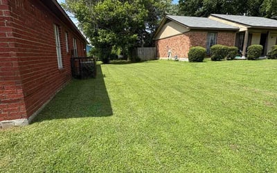 Photo of Ronda D.'s yard after getting lawn care in Lubbock, TX