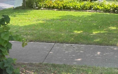 Photo of Alex M.'s yard after getting lawn care in Rochester, NY
