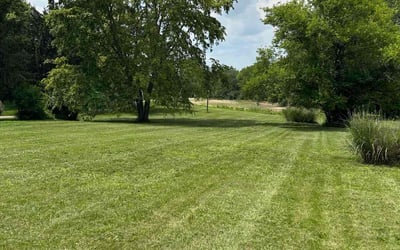 Photo of Sara S.'s yard after getting lawn care in Lincoln, CA